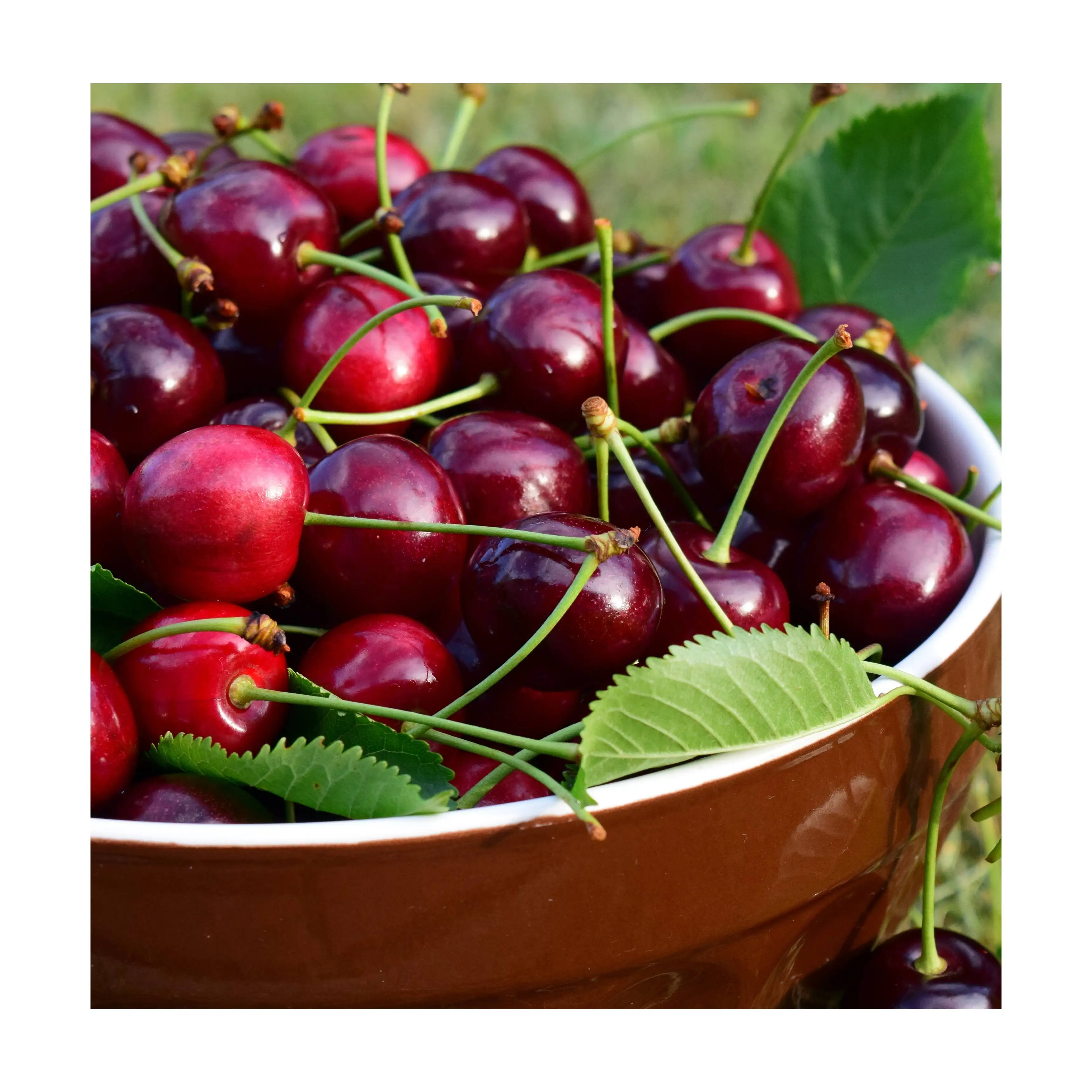 Cherry 1.jpg
