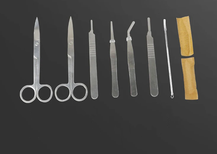 7piece Stainless Steel Dissecting Kit Biology Specimen Dissection Tool