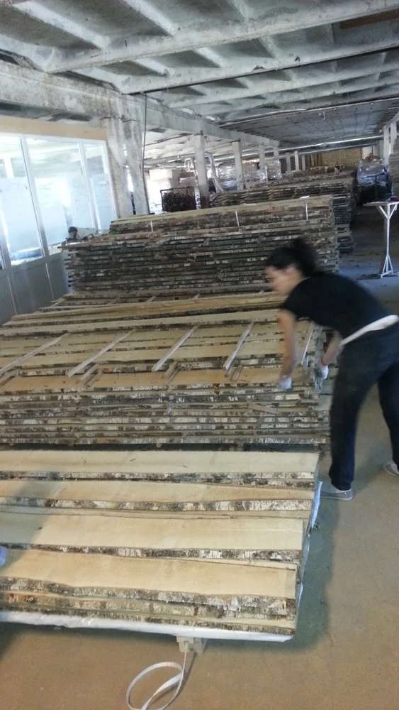 Kiln Dried Latvian White Birch Unedged