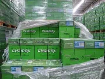 Chamex-Double-A4-Copy.jpg