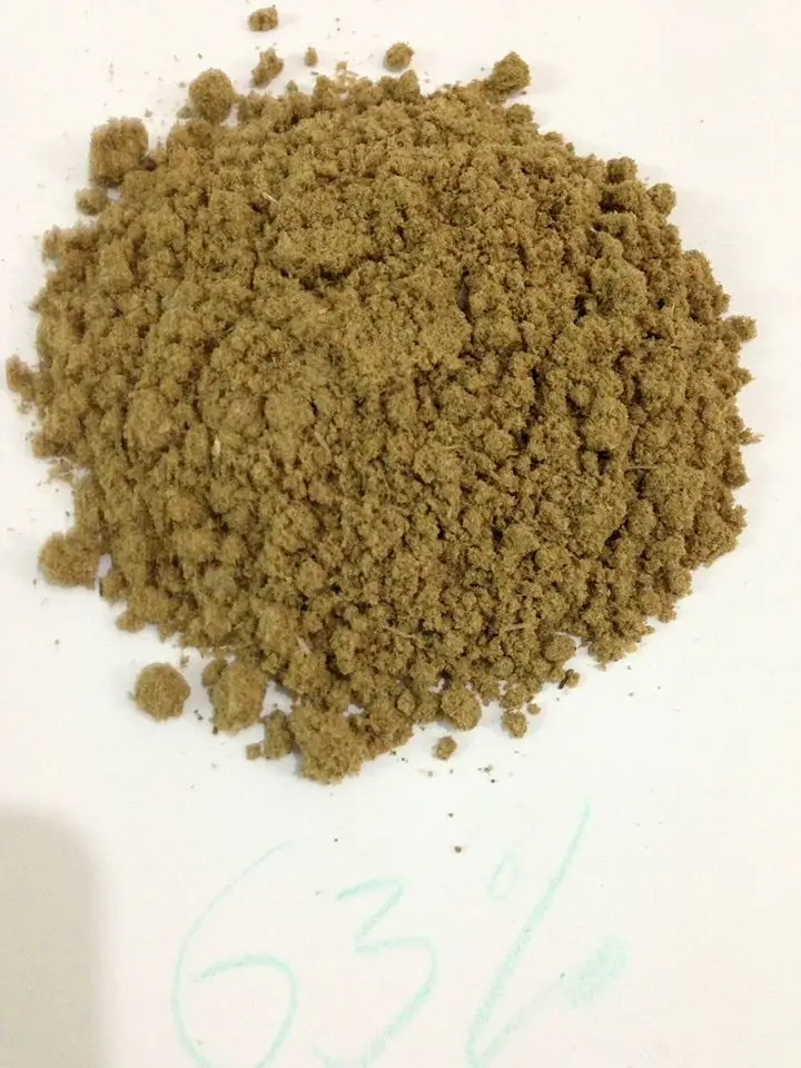 Fish Meal 10.jpg