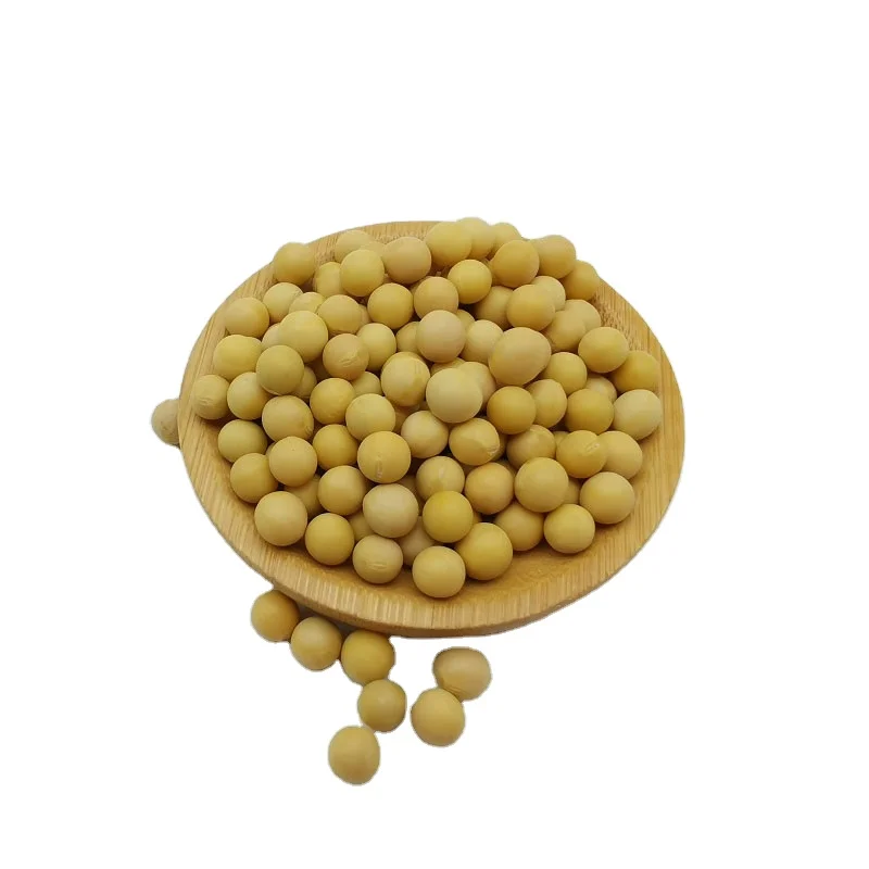 A - Soybeans 24.jpeg