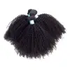 Afro curly