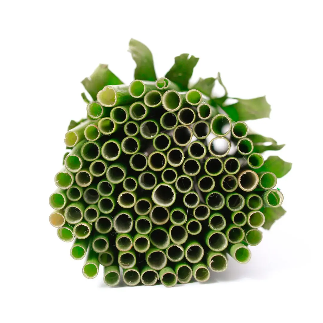 Grass Straws: An Eco-Friendly Product Originated From Vietnam