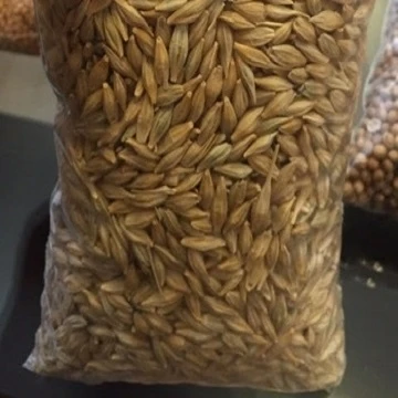 Animals-Feed-Barley-.jpg