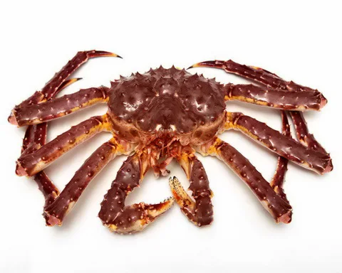 kingcrab.jpg