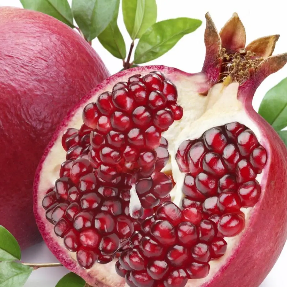 Сон граната фрукт. Гранат Помегранате. Анор мевахўри. Гранат Pomegranate 3д. Фрукты.