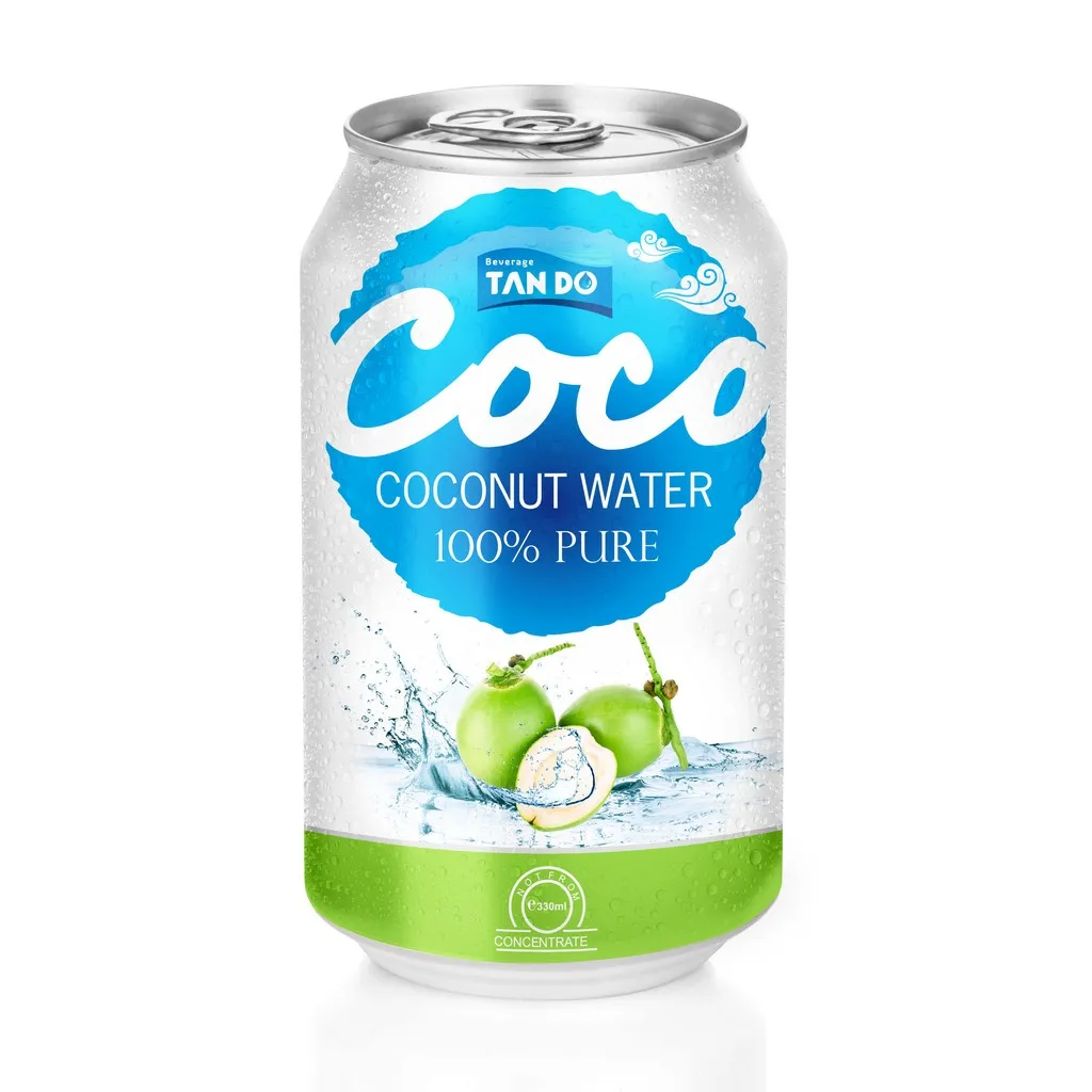 fruit juice factory standard can special flavor coconut nectar