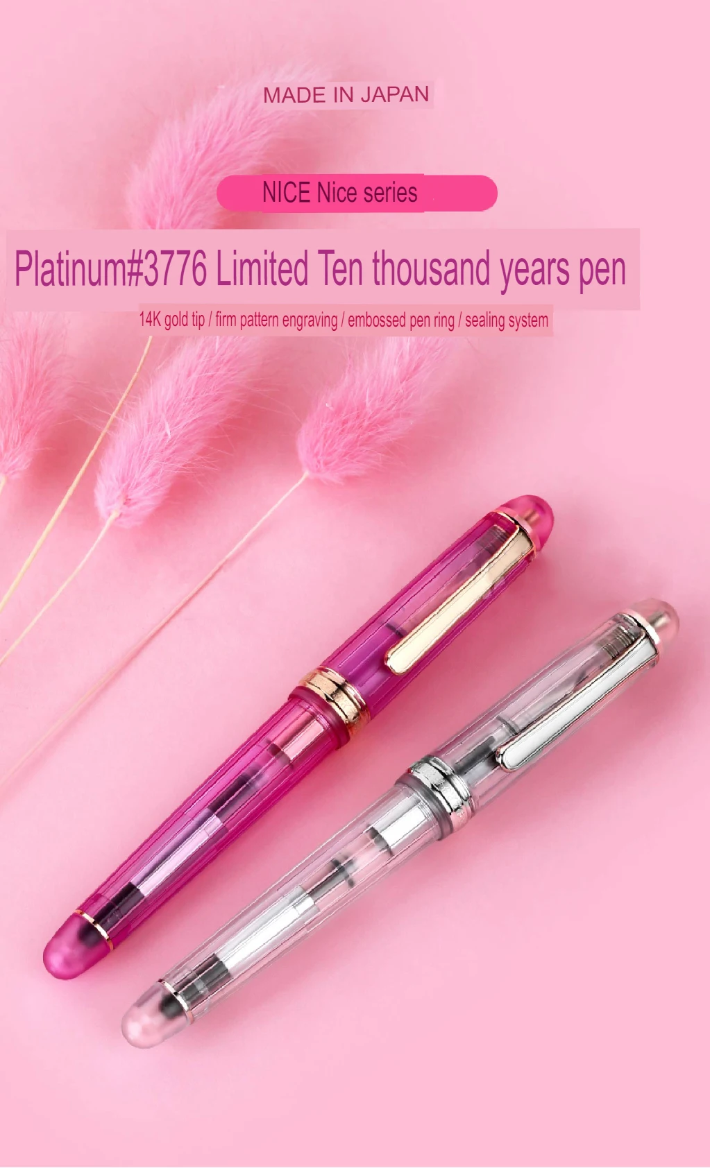 Platinum#3776 PNB-20000R#5-B Rose Century NICE Fountain Pen