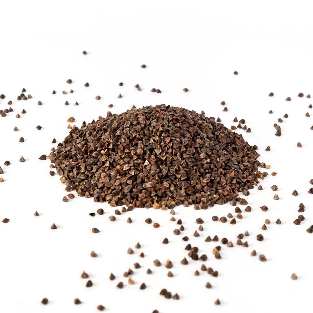 Wholesale Russian Export Import Buckwheat Buy Organic Buckwheat
