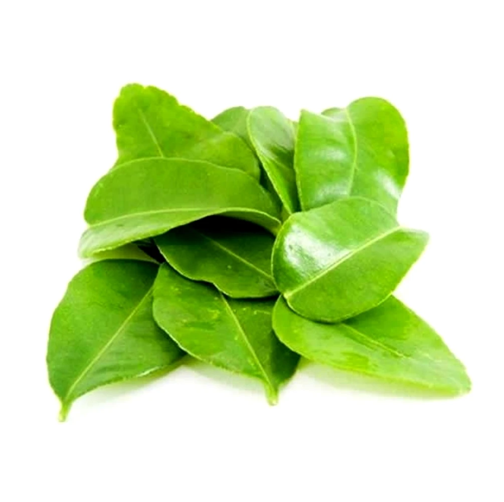 заговор на лавровый лист. лавр благородный (láurus nóbilis). листья шпината. лаврушка лист. листья лавра благородного.