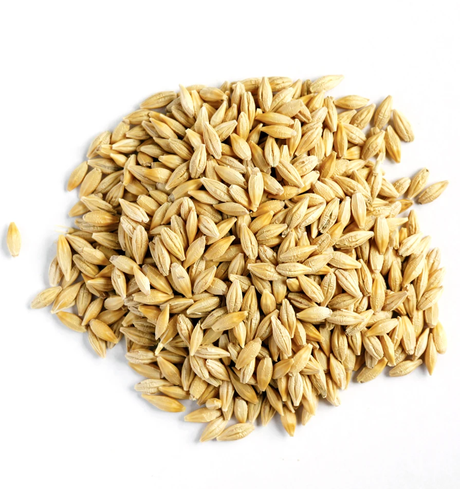 Качество пшеничные зерна