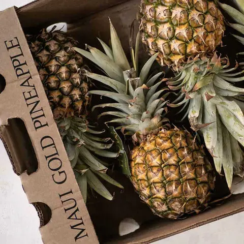 Fresh-Pineapple (1).jpg