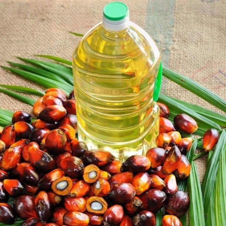 pure vegetable cooking oil (cp6 - cp8 - cp10) 100% halal palm