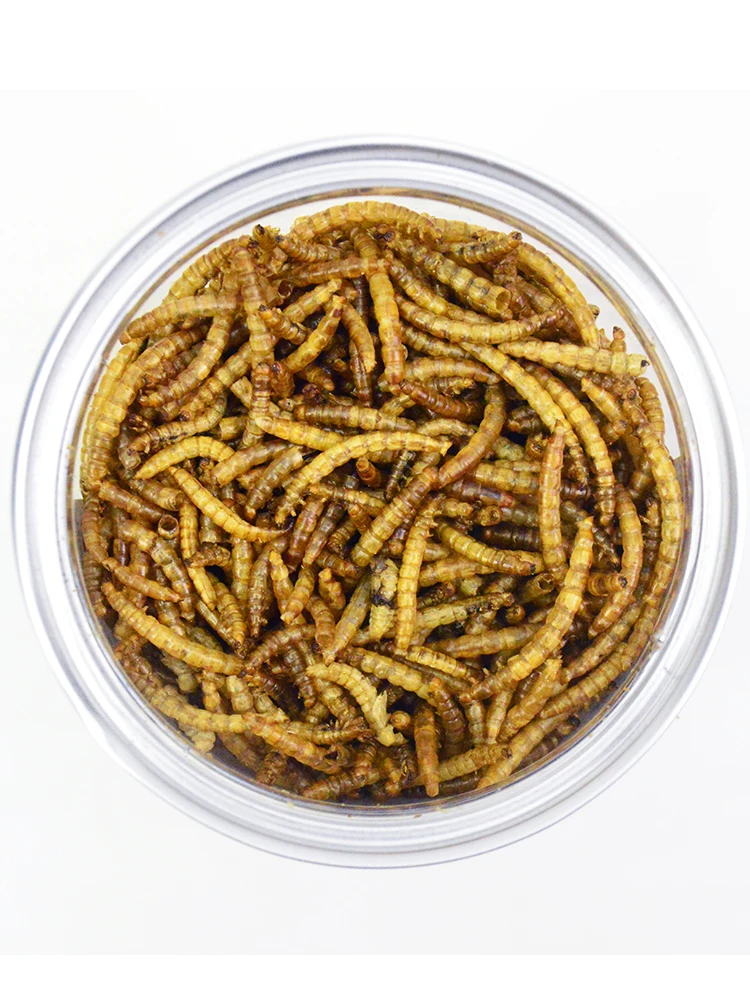 High Protein Dried Mealworms Pet Food Protein 57 Reptiles Feeding
