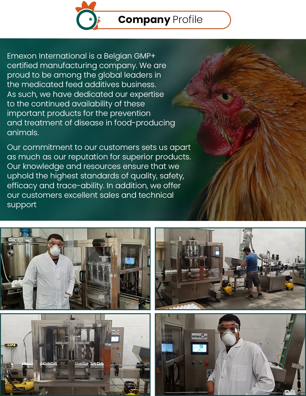 Vitamin Mineral Supplement Vitamins And Minerals Emexvit K For Animal