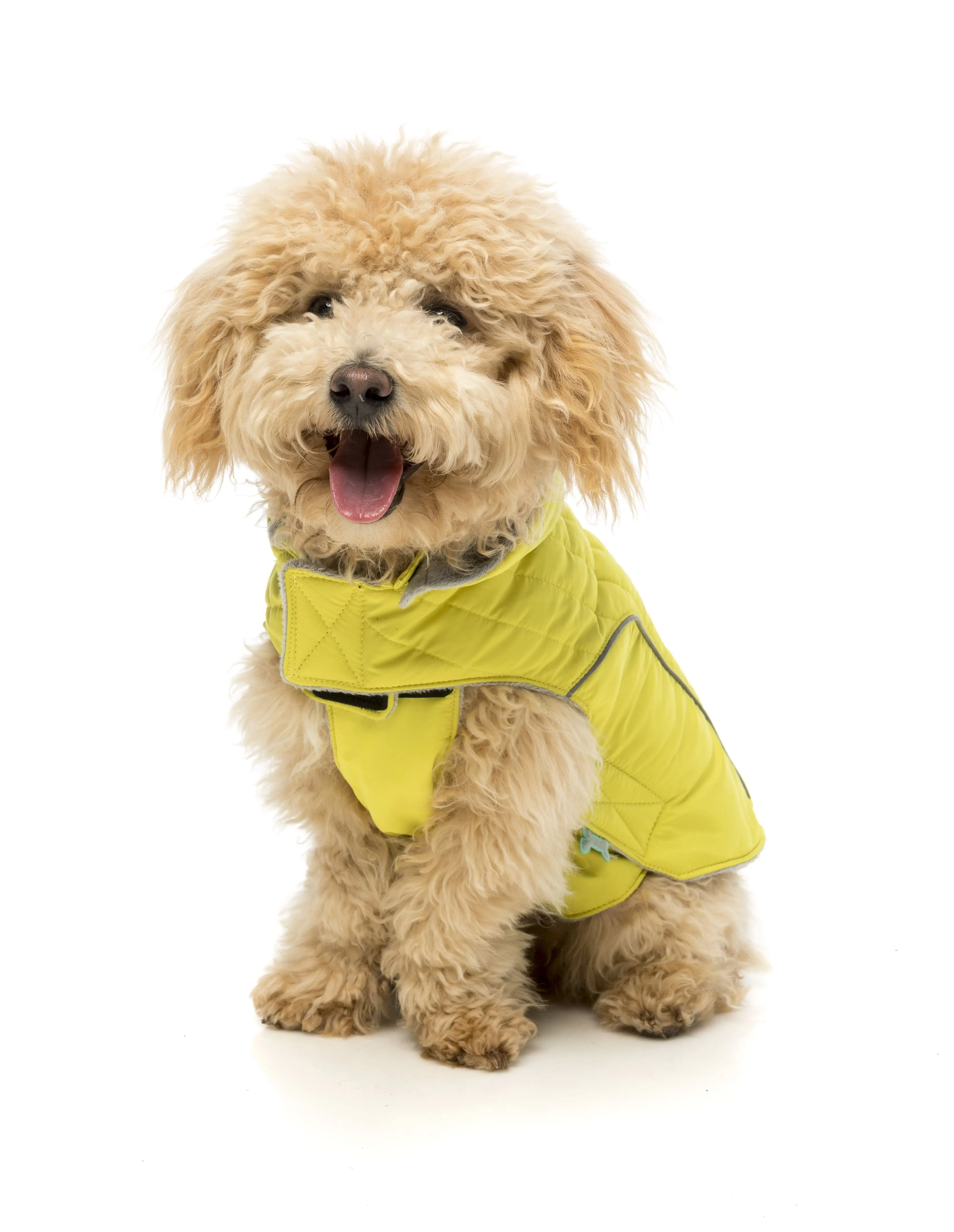 Pet Rain Jacket Yellow Comfortable Adventure Jacket Pet Clothes