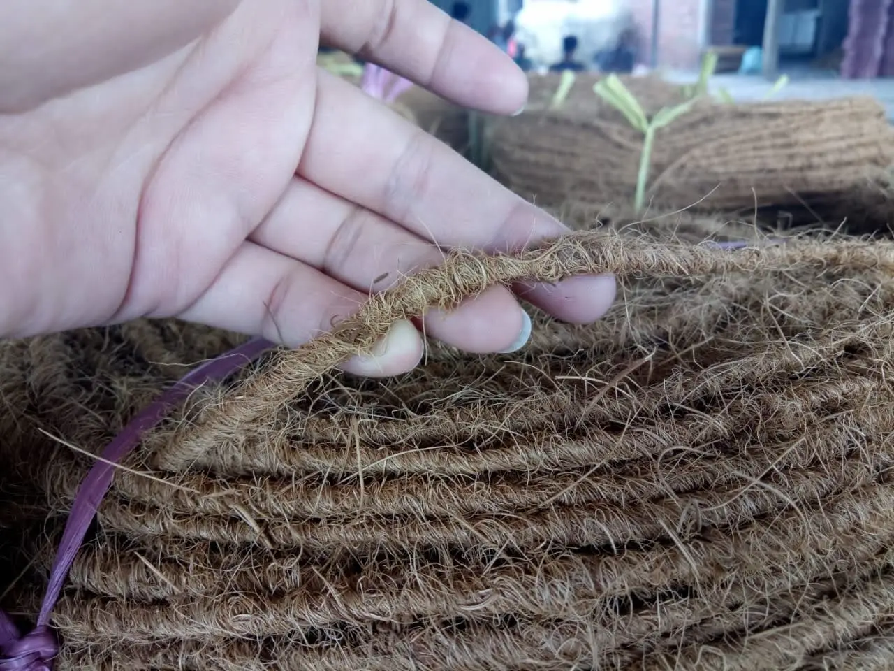 Alibaba.com: WS 99 Coconut Coir Rope 0084817092069 - heavy, strong coir ...