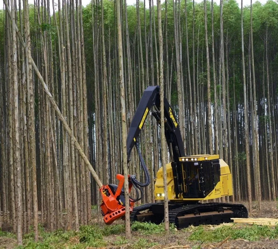 Factory direct High quality Oak  Logs