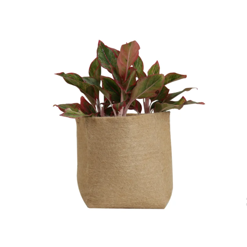 jute planter bolsas