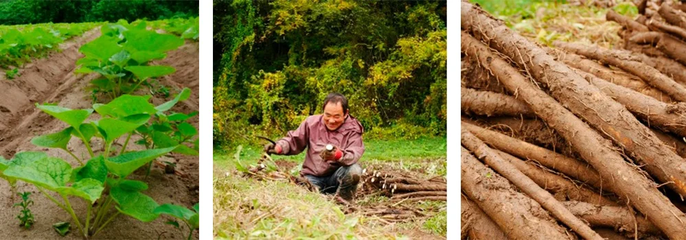 ojisan.png