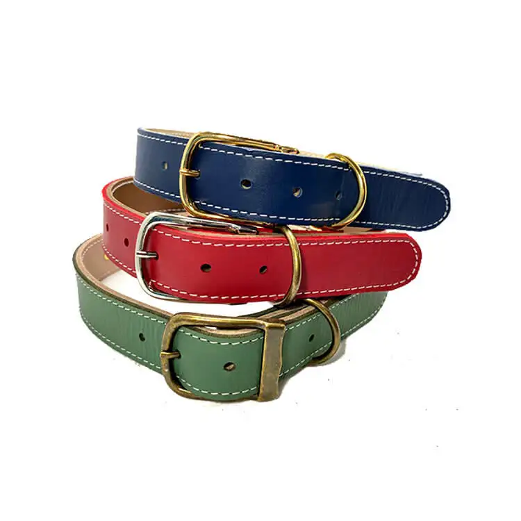 double layer dog collar 