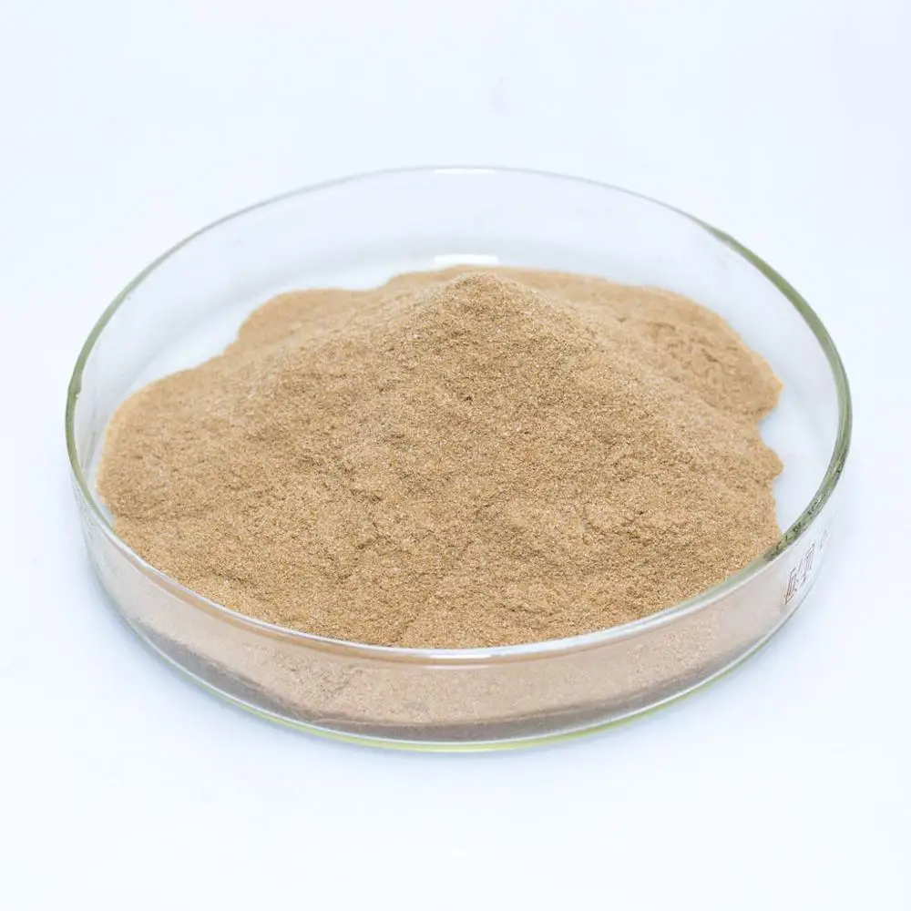 Beer Meal Residue - Dried Brewer's Yeast Powder Cheap Price From Vietnam/ Ms. Lima