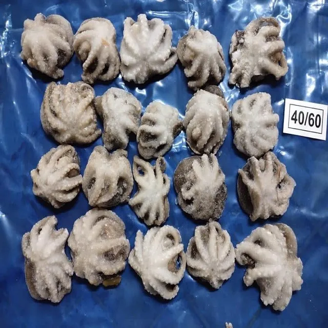 TOP QUALITY FROZEN OCTOPUS WHOLE CLEANED FROM INDIA