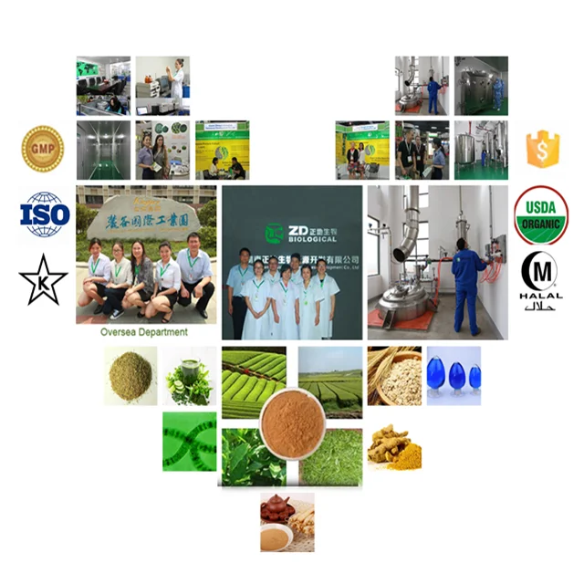 
 100% чистый кормовой порошок спирулины для собак/кошек оптом  