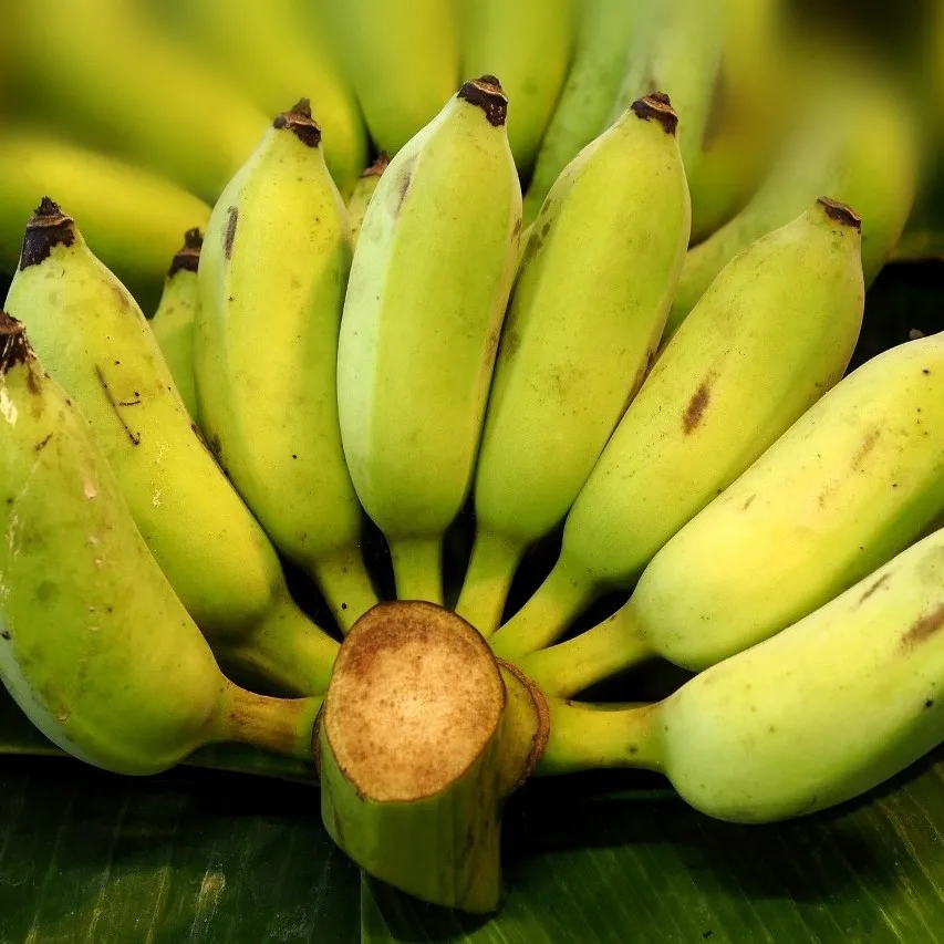 Вьетнамский свежий банан Pisang навакский-Премиум, высокое качество, чистое...