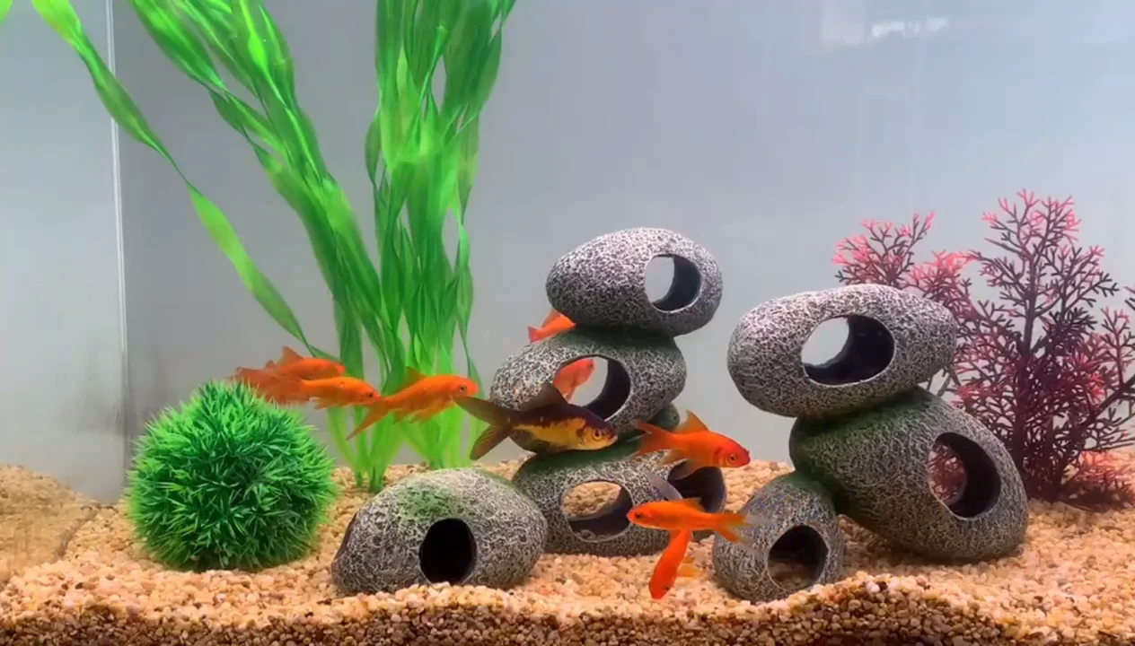 Fish Tank Aquarium Decoration Polyresin Cichlid Stones Rocks Cave