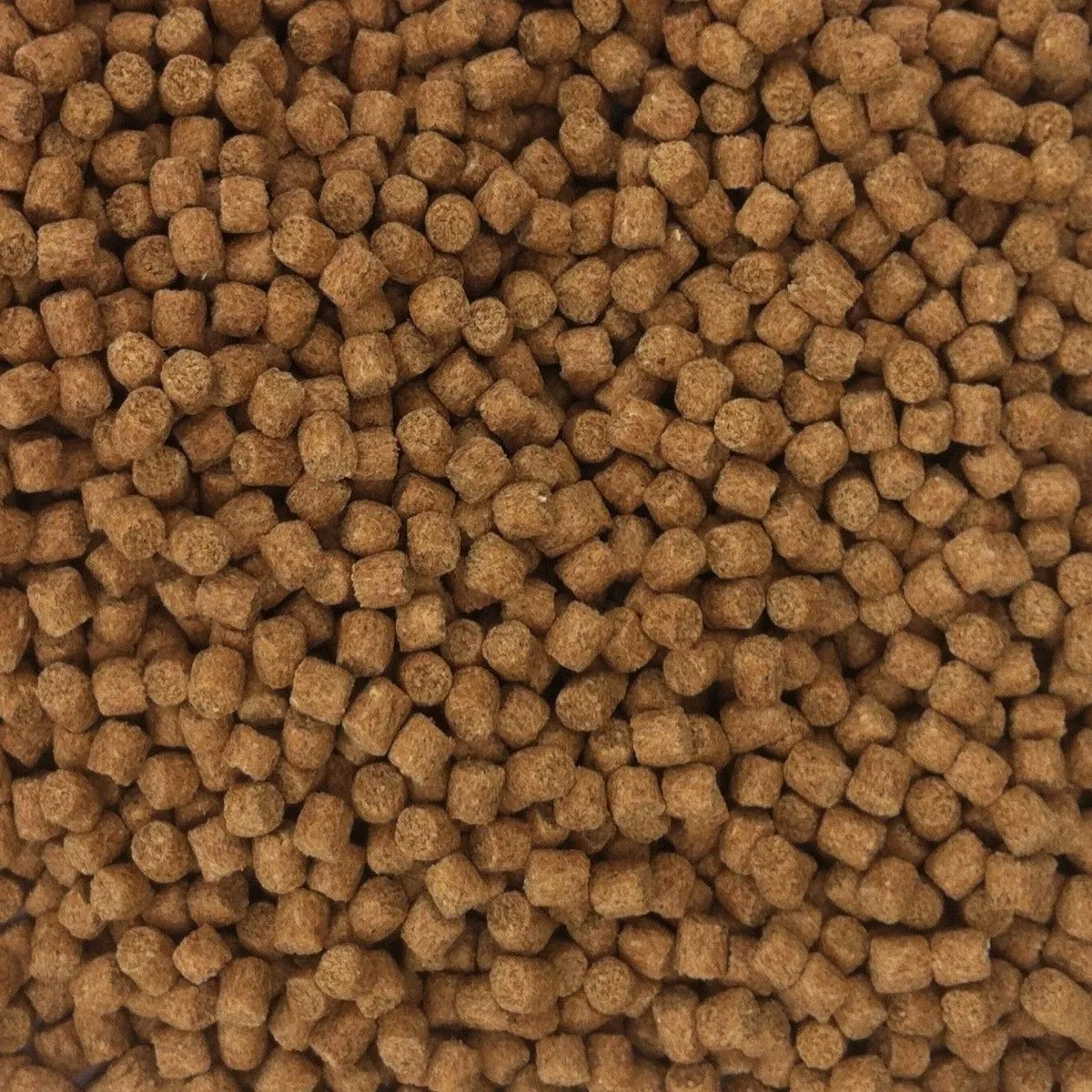 high proteins sinking coarse carp fish pellets - buy 6mm sinking
