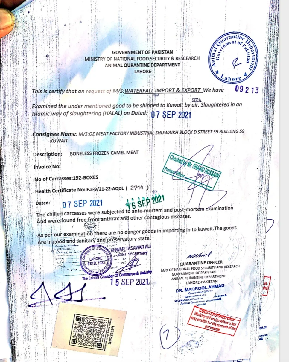 pic6.jpg