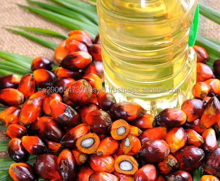 Rbd Palm Oil,Ukraine Palm Olein,Refined Cp10 Edible Oil In Bulk. Buy