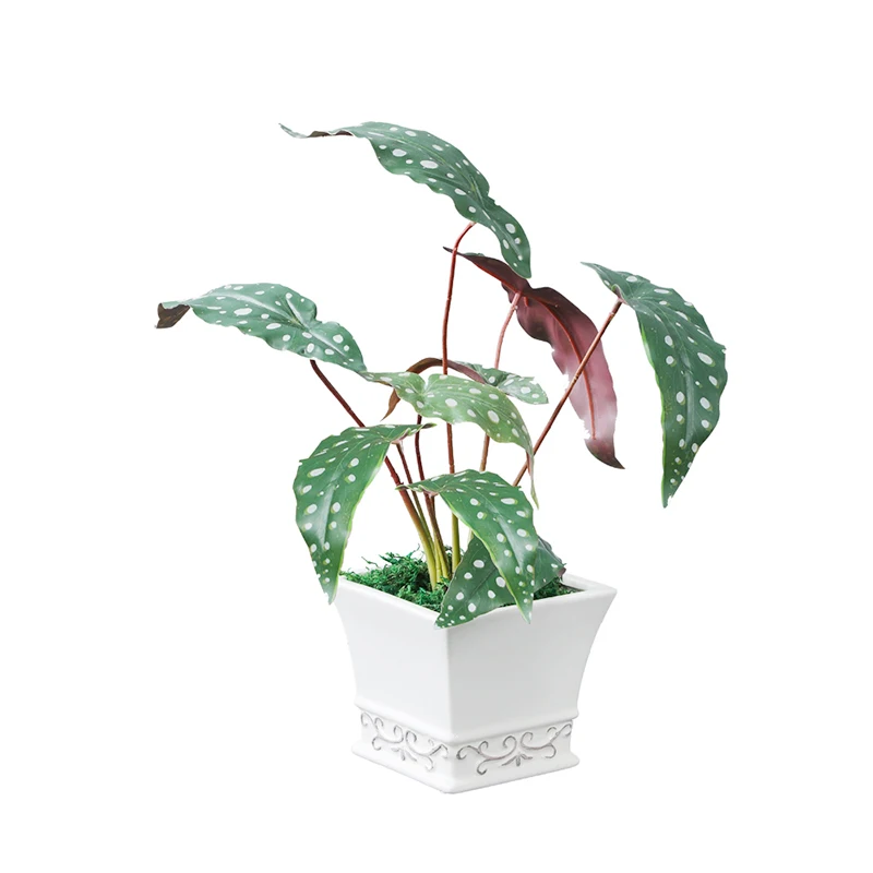 Maceta Cuadrada De Hojas De Begonia De Imitación,Flor De 18 Pulgadas De  Altura,Bonsái,Decoración De Plantas Verdes Artificiales - Buy Artificial  Begonia De La Hoja,Maceta Begonia Bonsai,Bonsai Decoración Product on  