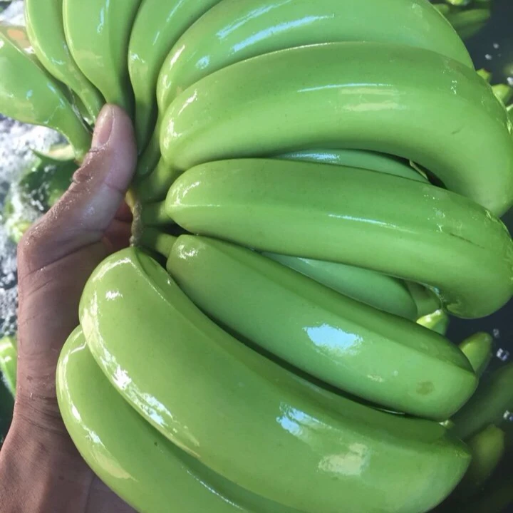Банан красный Кавендиш. Сладкий банан. Зеленые сладкие бананы. Вьетнамские бананы.