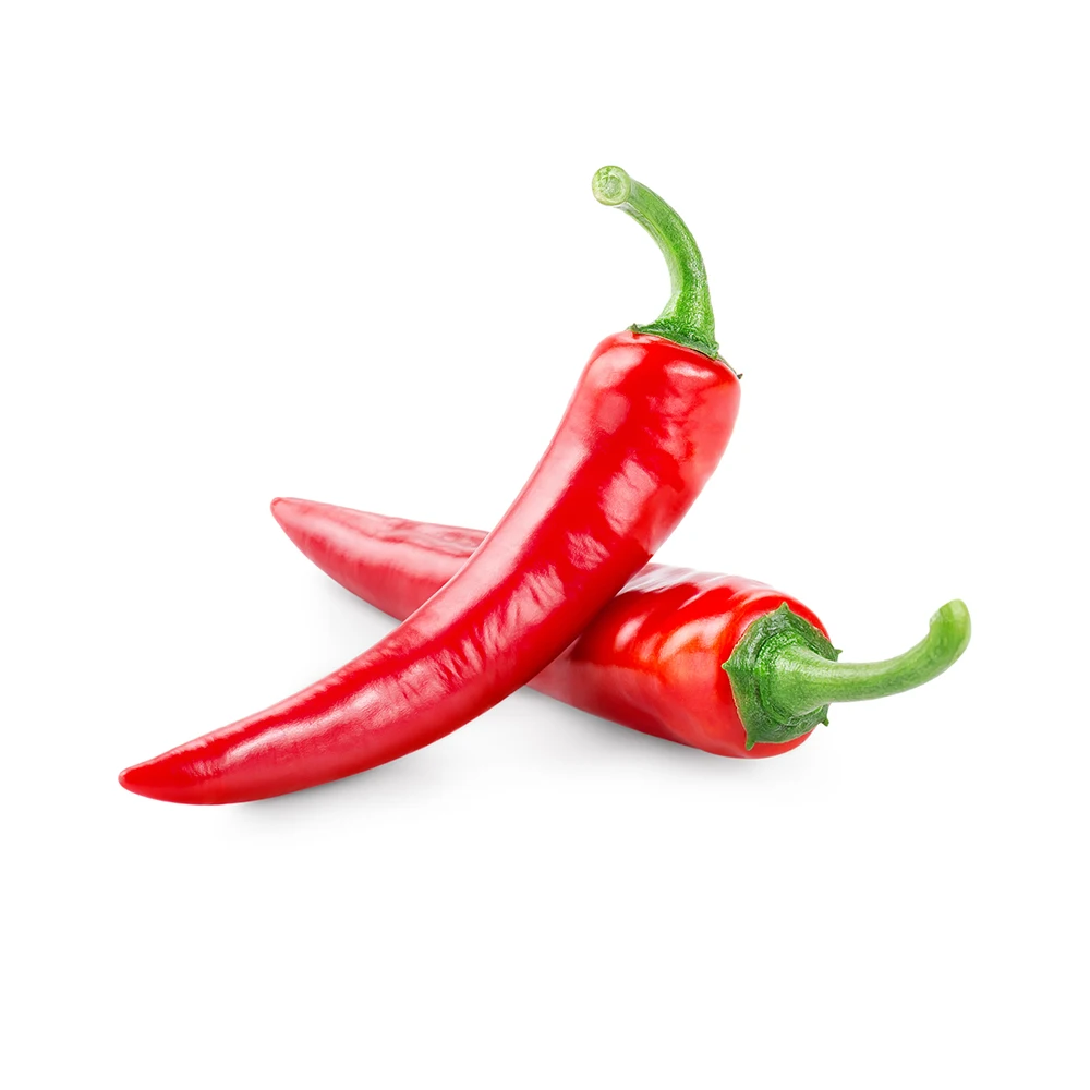 market price natural hot and spicy fresh red chilli for sale - b