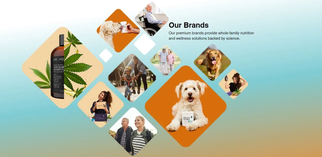 Chew & Heal 4 In 1 Multivitamin 60 Chews For Dogs Specially Formulated