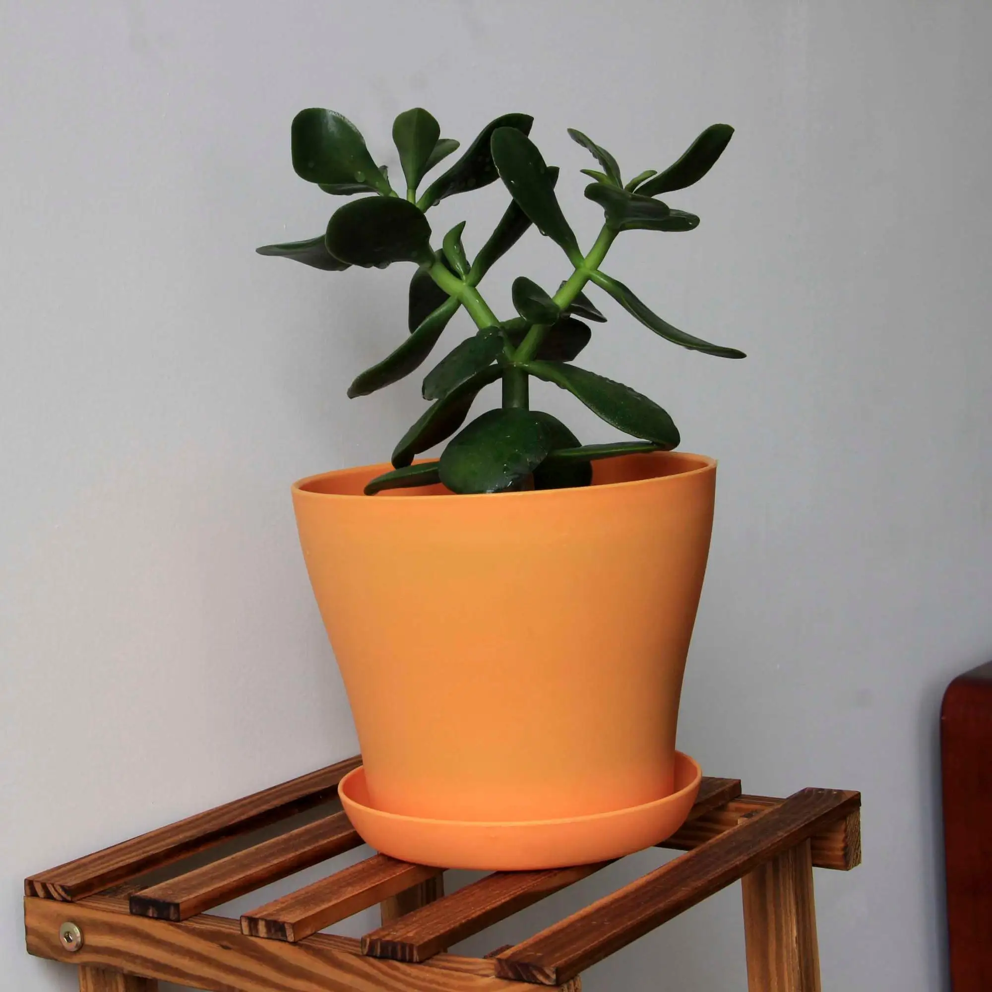 Пластиковый горшок для растений с блюдцем, декоративный пластиковый цветочный горшок для садоводства