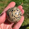Dalmatian Jasper
