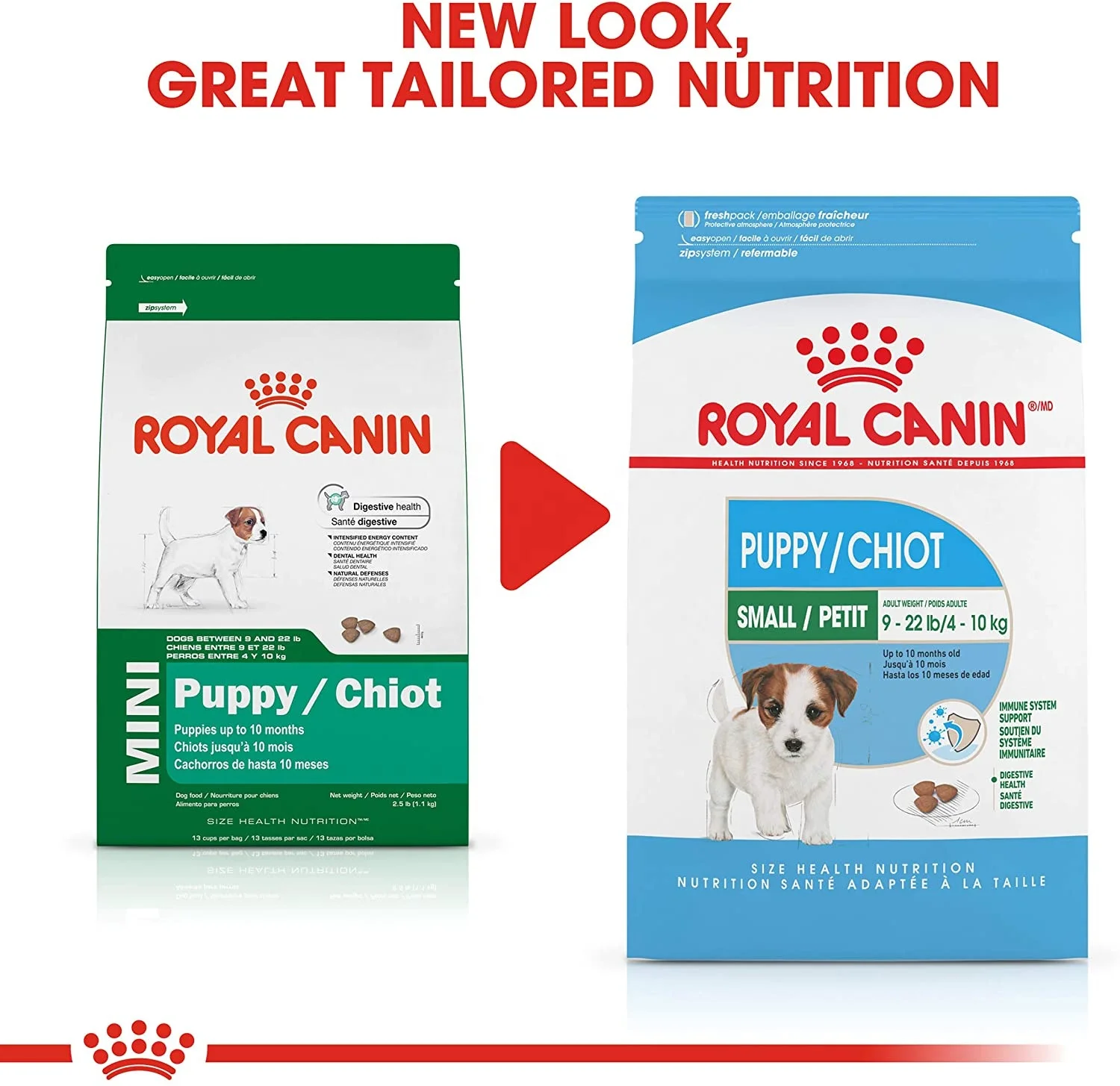 royal canin medium junior 10 kg