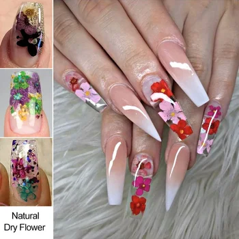 Natural Mix Dried Flowers Nail Decorations Jewelry Natural Floral Leaf  Stickers 3d Nail Art Designs Polish Manicure Accessories