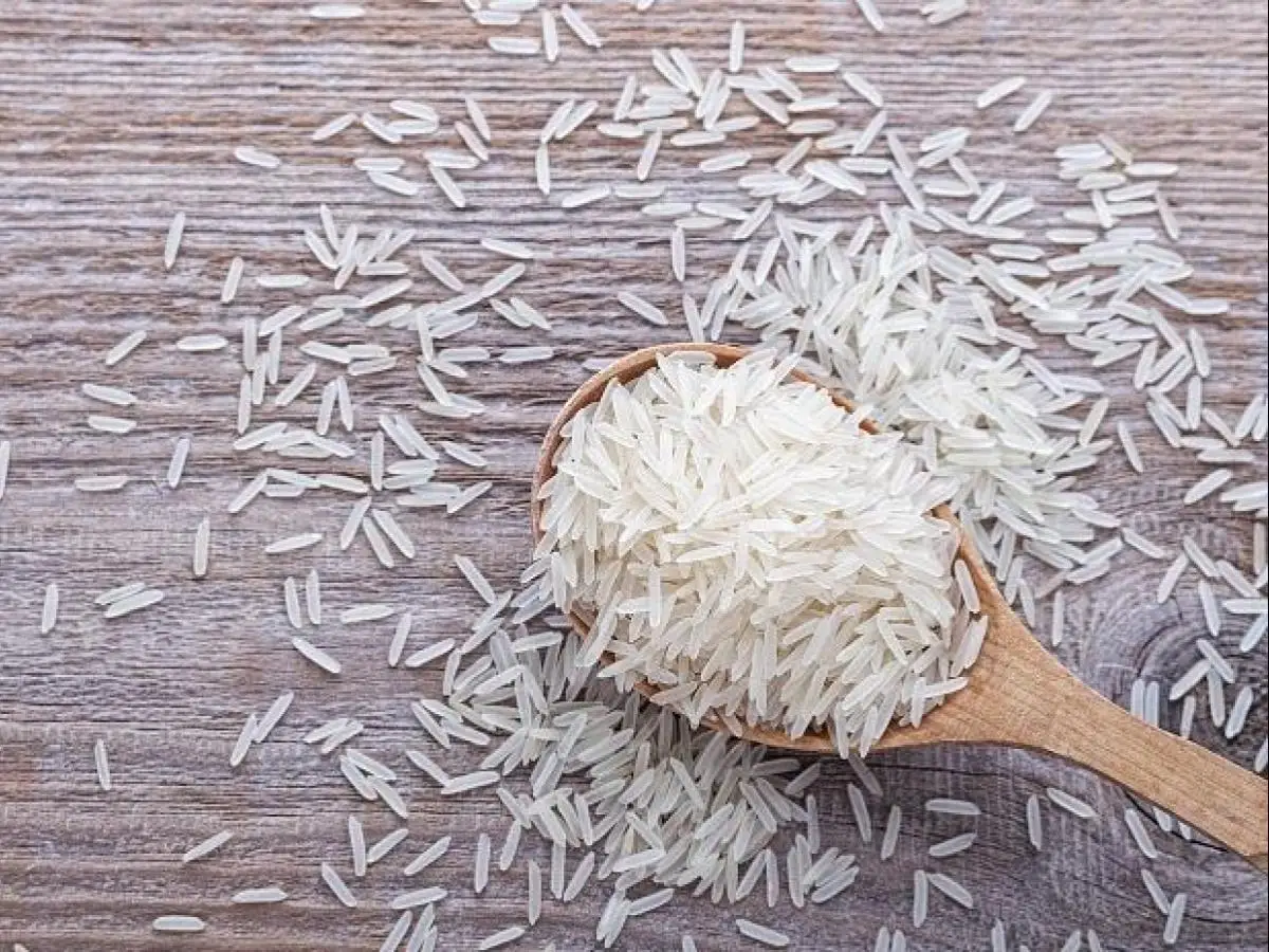 Hot Selling Price Of Basmati Rice in Bulk Quantity 