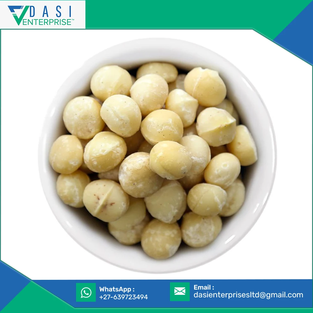 Fiber Rich Valuable Delicious Raw Organic White Macadamia Nuts Kernel At New Selling