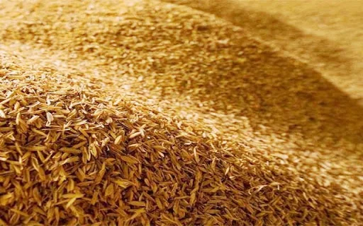 Exporting Cheap Price Raw Rice Husk From Viet Nam  for Sales