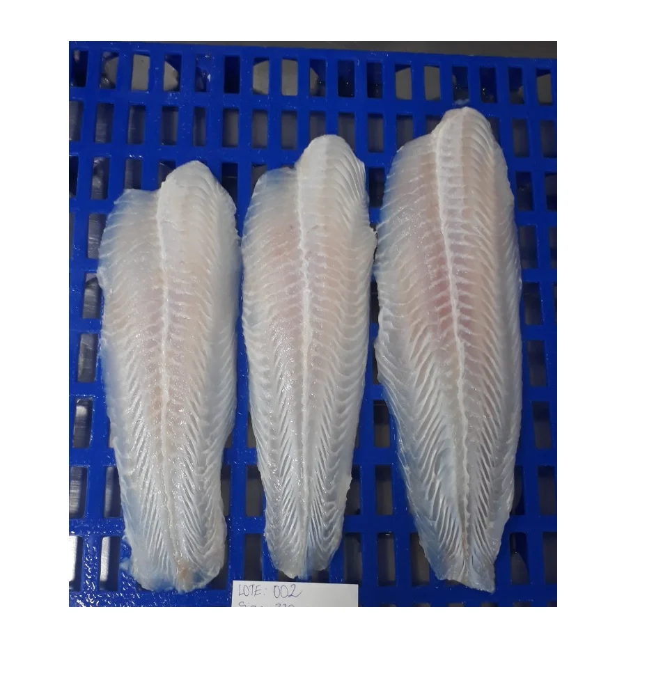 ORGANIC HIGH QUALITY FROZEN PANGASIUS HYPOPHTHALMUS FILLET WHITE WELL TRIMMED