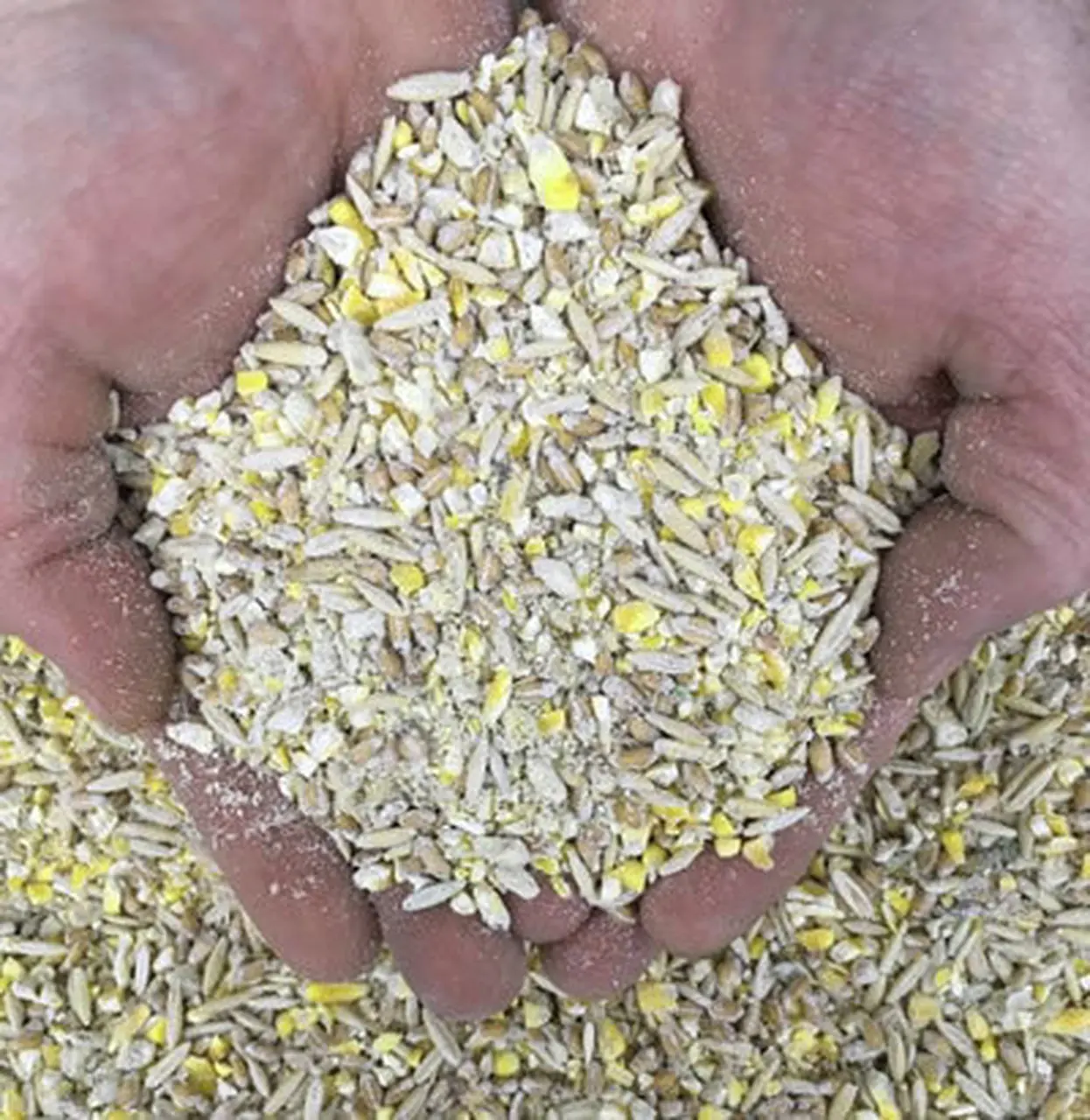 Tavuk Yemi Soya Unu Tavuk Yumurta Tabakasi Tavuk Yemi Buy Toplu Tavuk Besleme Tavuk Yemi Konsantresi Katmanli Tavuk Besleme Product On Alibaba Com Tavuk Yemi Soya Unu Tavuk Yumurta Tabakasi Tavuk Yemi Buy Toplu Tavuk Besleme Tavuk Yemi Konsantresi Katmanli Tavuk Besleme Product On Alibaba Com