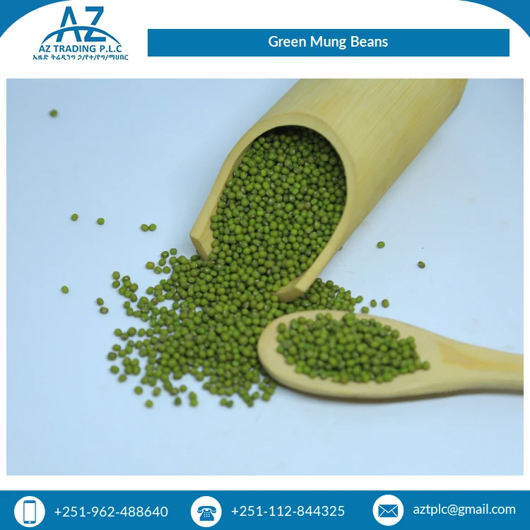 Ведущий экспортер исключительного качества сушеных видов органического культивирования зеленых бобов мунг для оптового