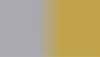 Gold/ Silver