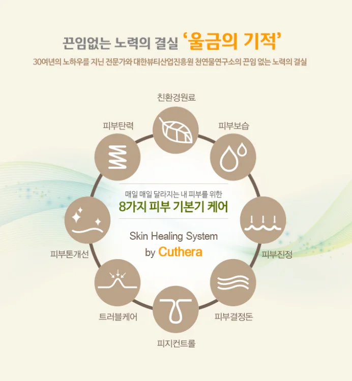 JEJUON Real Jeju Shea Butter 75ml Hand Cream Made in Korea Natural Ingredients with Curcuma for Moisturizing and Hydrating
